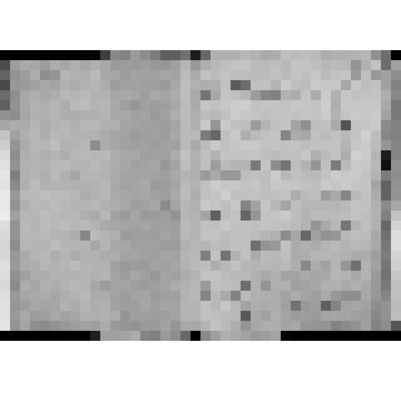 КОПИЯ РАПОРТА