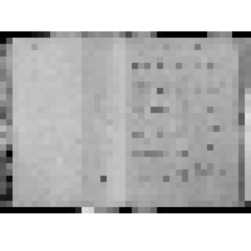 КОПИЯ РАПОРТА