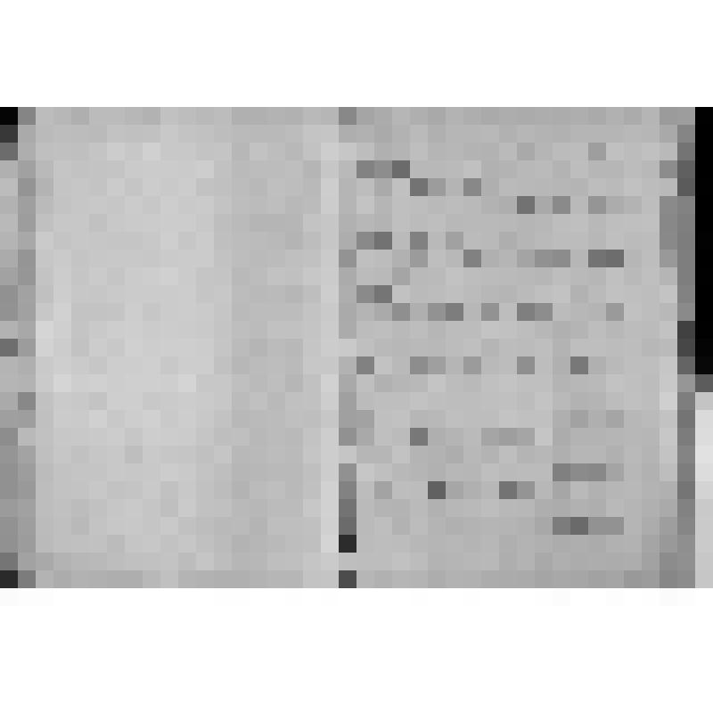 КОПИЯ РАПОРТА