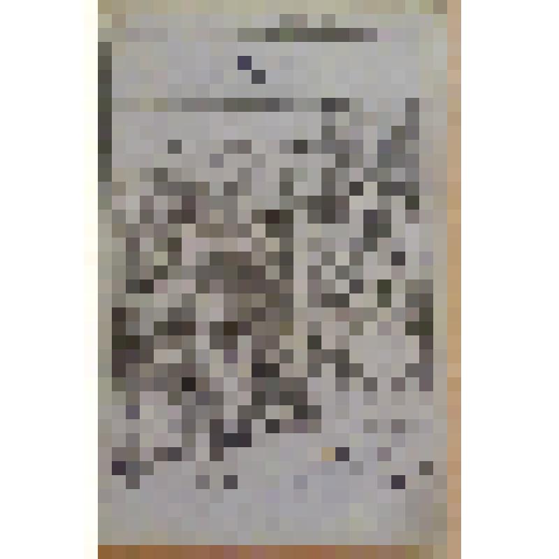 Книга. Полушин Н.А. Омут или "В город на чалочке, а из города на палочке" [Text] / Издательство не указано. - М. : Издательство "Посредник" (№ 87), 1889 (Товарищество И.Д.Сытина)