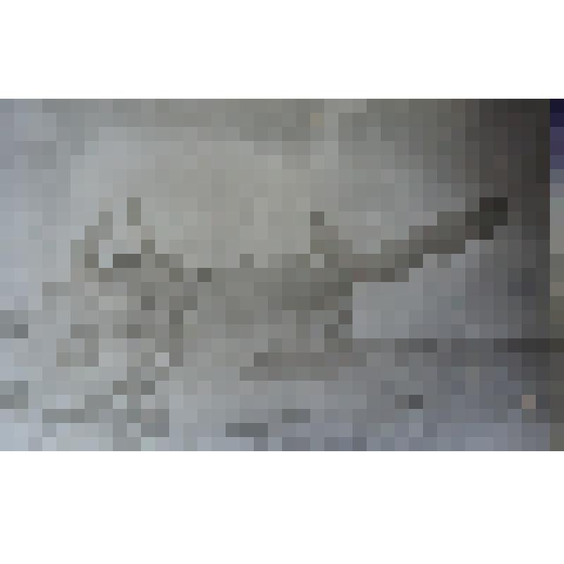 Фото «Ремонт техники»