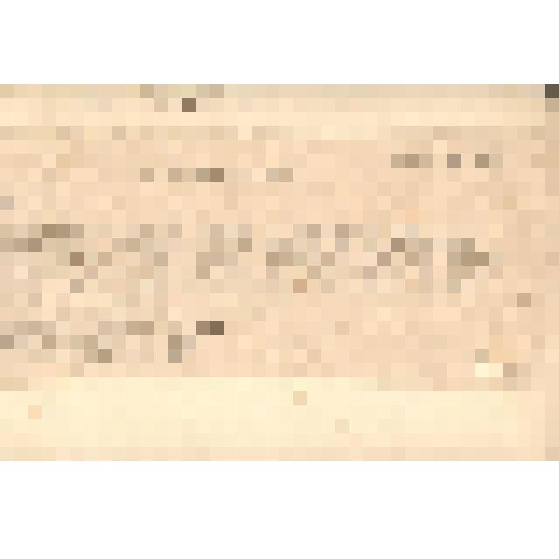 Фотопортрет. Никандров И.М. - разведчик, комсомолец  6 ЛПБ, март 1944 г. (Погрудный.)