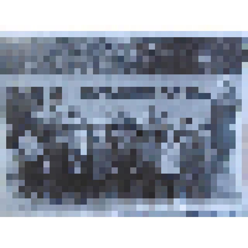 Фотография. Воспитательница с детьми