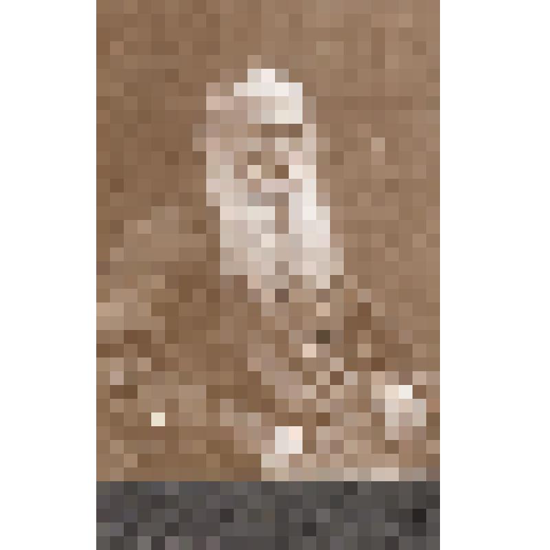 Л.Н.Толстой (Кадр из фотографии «Л.Н.Толстой с дочерью А.Л.Толстой)