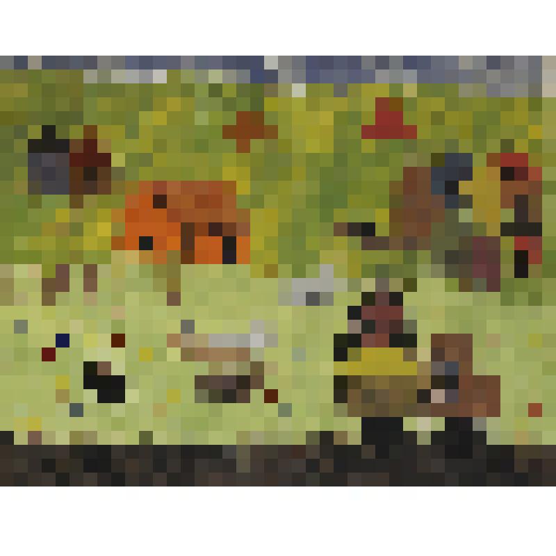 «В колхозе»