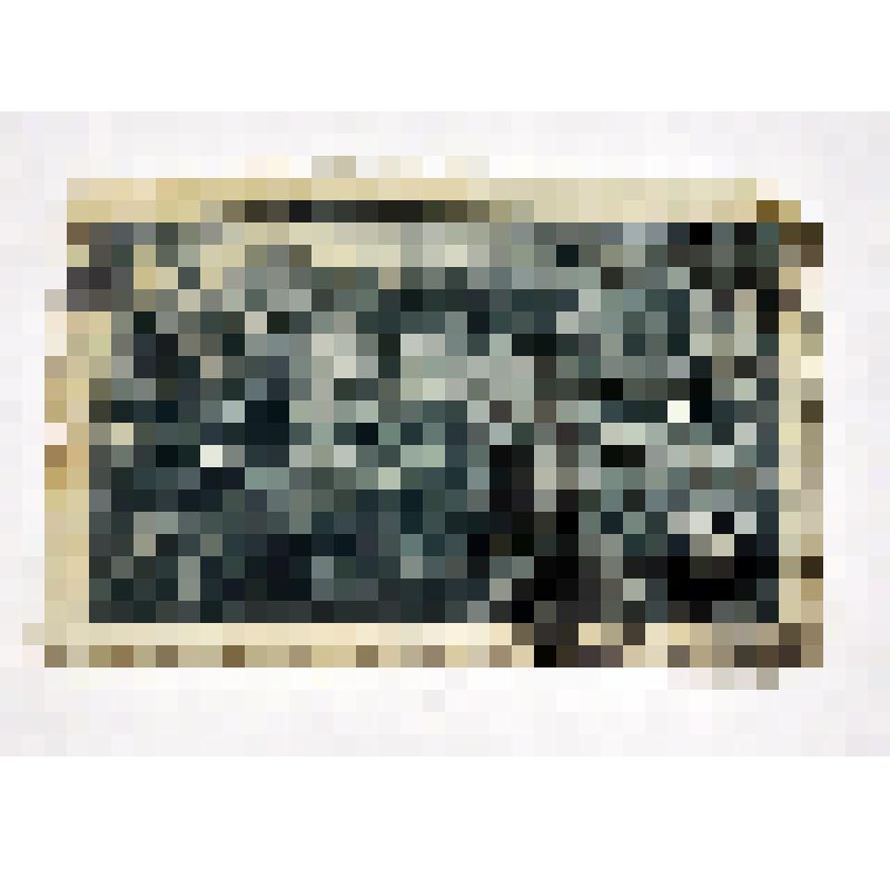 Марка почты СССР. Нападение партизан. Из серии "Война". Художник Дубасов И. Номинал 30 коп