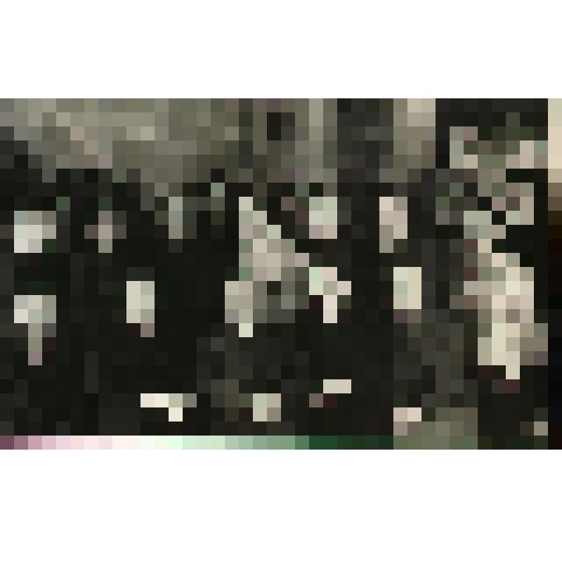 Фотография групповая. Трудящиеся Богословской ТЭЦ