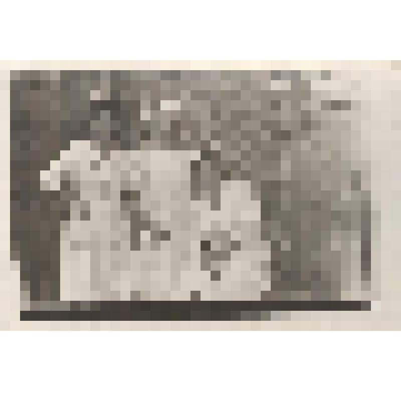 Фотография. Еремеева Н.В. (1-я справа) с сотрудниками клиники нервных болезней при ФТИ