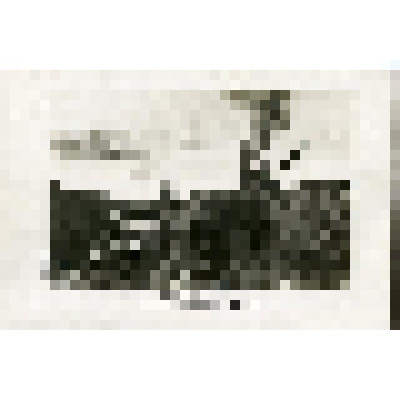 Район Соревнование. Работа экскаваторов на Лесозаводском бугре. Фотография