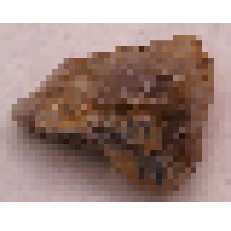 Кианит