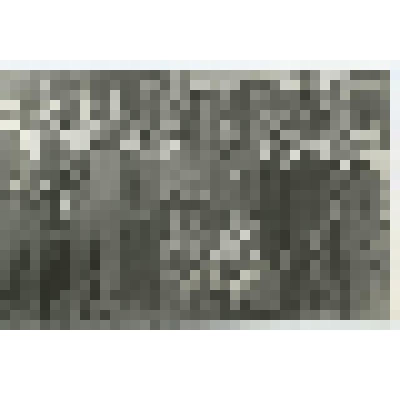 Фотография. Тевлин Б.Г. (2-й справа), участники хора и неустановленные лица стоят у автобусов