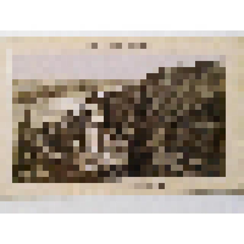 Памятник Князю Владимиру. 1853г. г. Киев. Памятник Князю Владимиру, из альбома. Клодт Петр Карлович; Демут-Малиновский Василий Иванович; Тон Константин Андреевич. Общий вид. Издатель не указан