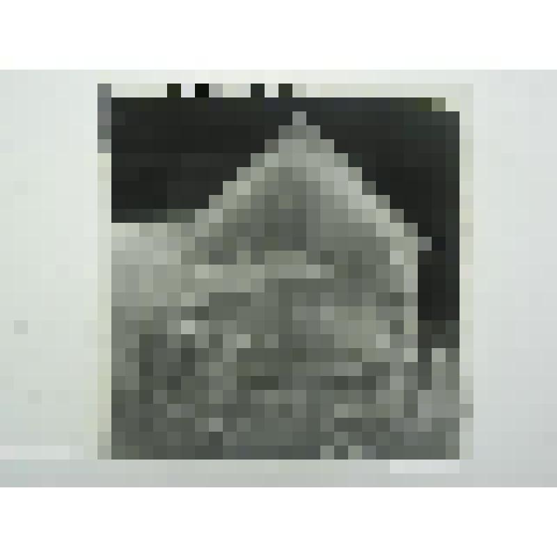 Дом Брусаловых. Ул. О.Кошевого, 14/43. 1905-1906 гг. Челябинская  обл., Кусинский р-н, г. Куса. Дом Брусаловых. Ул. О.Кошевого, 14/43. 1905-1906 гг. Торцевой уличный фасад сарая