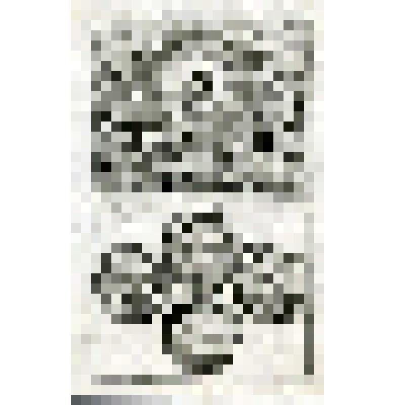 Офорт. Лист 185. Видение престола, стоящего на небе. Запечатанная книга и Агнец. Четыре Ангела на краях земли. Ангелы вокруг престола (Отк. 4, 5, 6, 7)