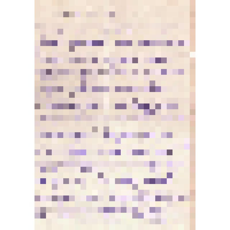 Письмо В. Заонегина матери