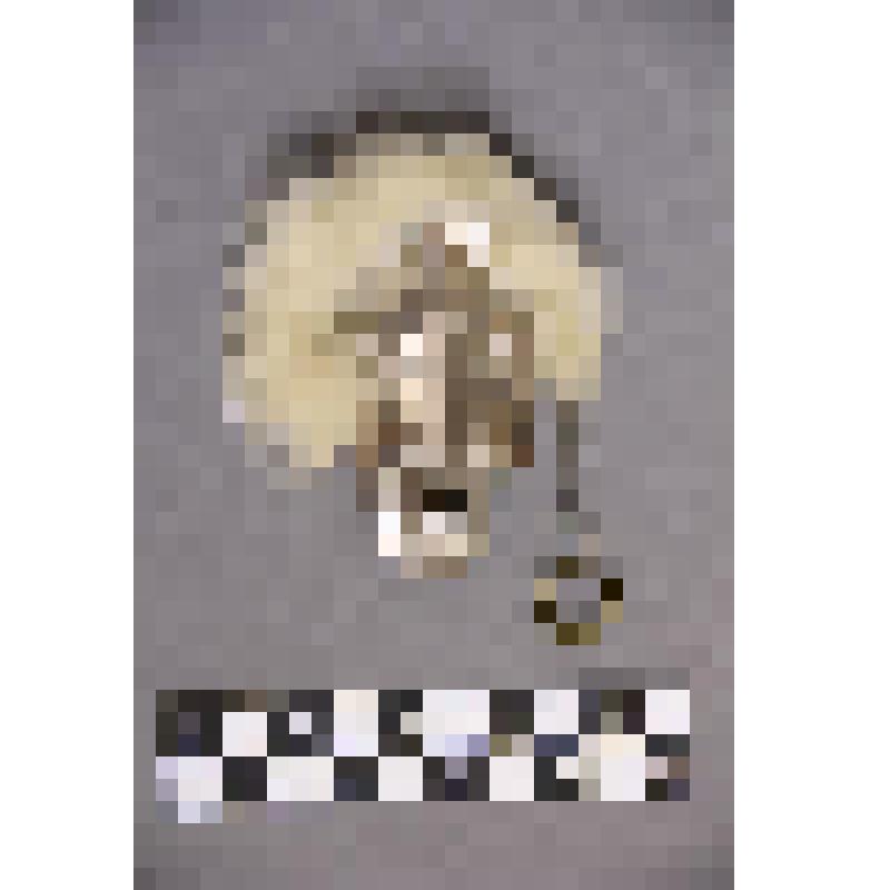 чеканка. Талисман на металлической пластине в виде лица человека. Волосы из меха. На обратной стороне подложка из кожи. К пластине зацеплена металлическая цепочка