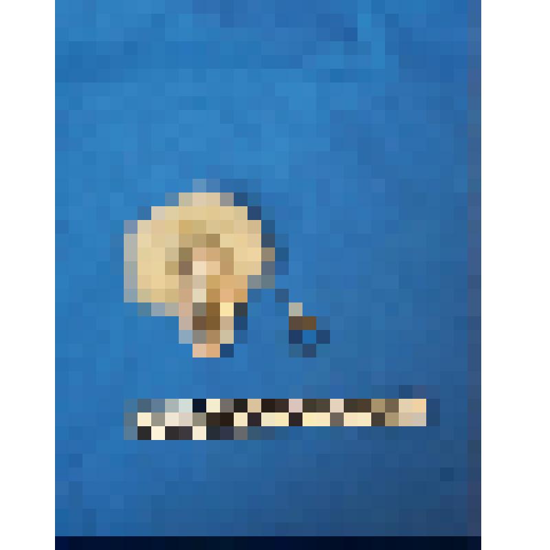 чеканка. Талисман на металлической пластине в виде лица человека. Волосы из меха. На обратной стороне подложка из кожи. К пластине зацеплена металлическая цепочка