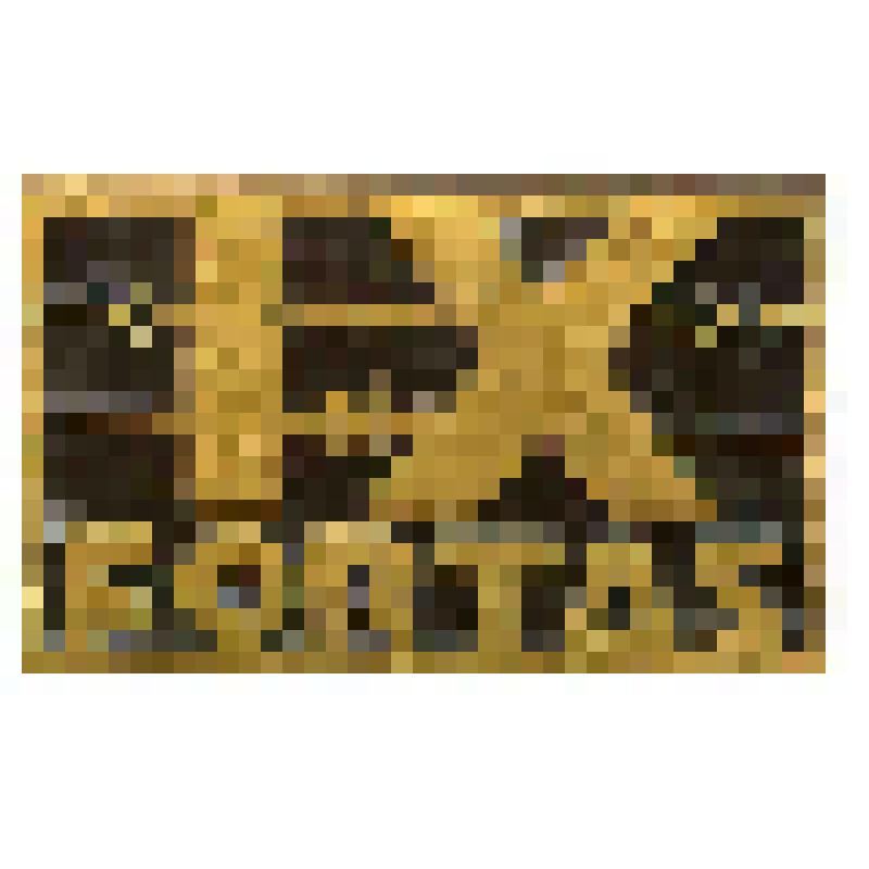 Значок. Каунас. IX форт, на иголке. СССР