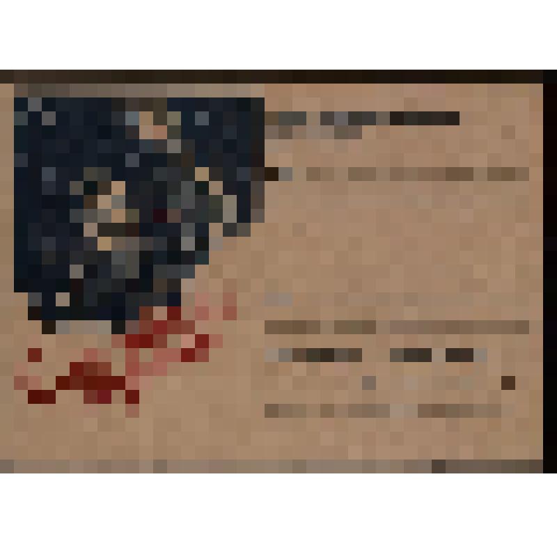 Письмо воинское "С Новым годом!"