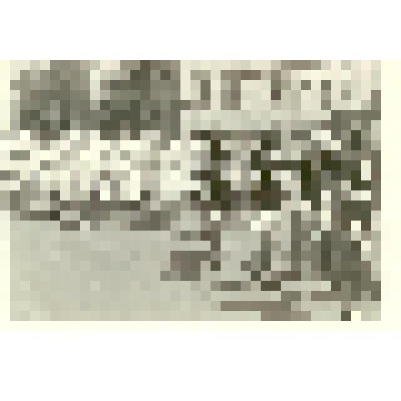 Фотография. Парад на майской демонстрации, из коллекции материалов о Полущеве Вадиме Федоровиче, велосипедисте, яхтсмене