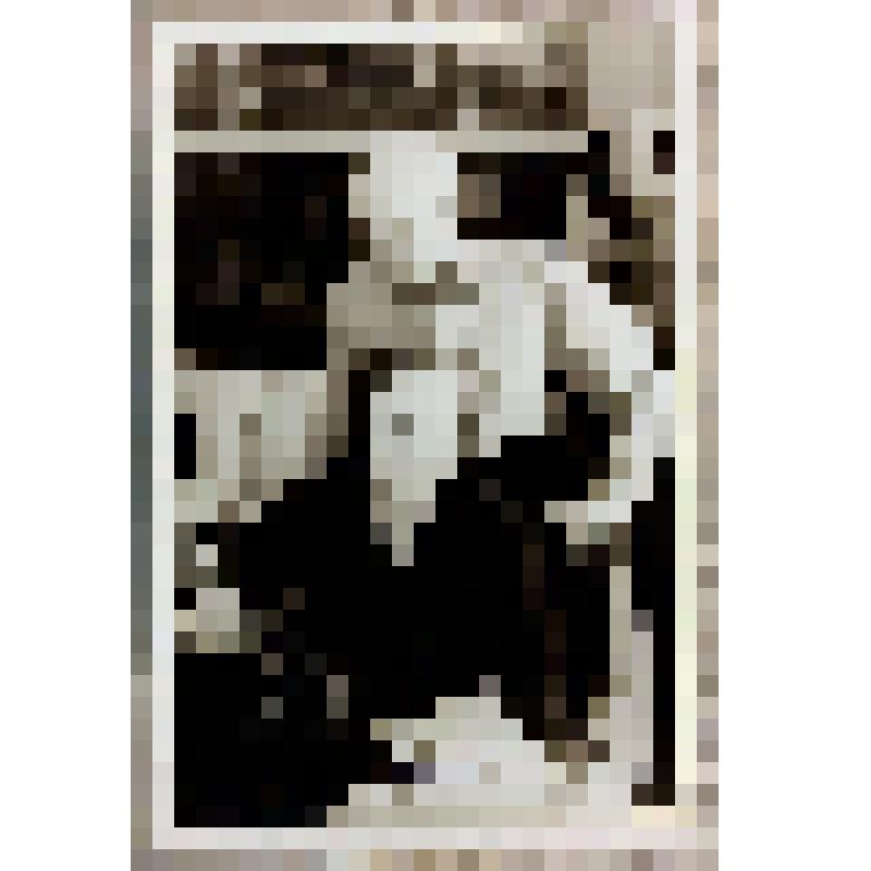 Фотография. Миловидова Надежда Павловна за работой по распечатке текстов для областного книжного госиздательства с мужем Борисом Васильевичем, из коллекции документальных, фотографических и вещевых материалов о Миловидовой Инне Борисовне (1929-2009), канд