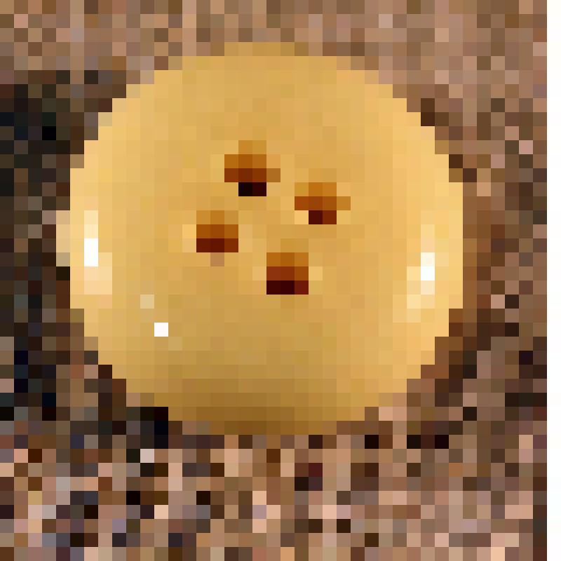 Пуговица светло-желтая, из коллекции бытовых предметов семьи Соломоновой Любови Яковлевны, зам.директора СОМК по развитию музея