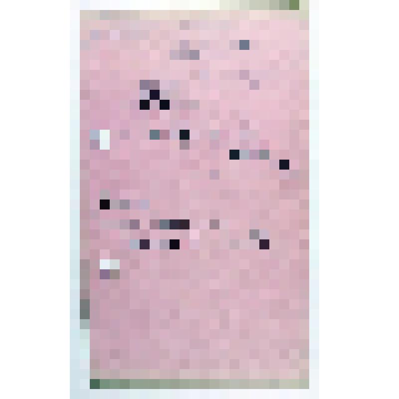 Лист с библиографическими записями Вавилова Н.И., сотрудника кафедры частного земледелия Московского сельскохозяйственного института, с указанием Варшавской станции охраны растений