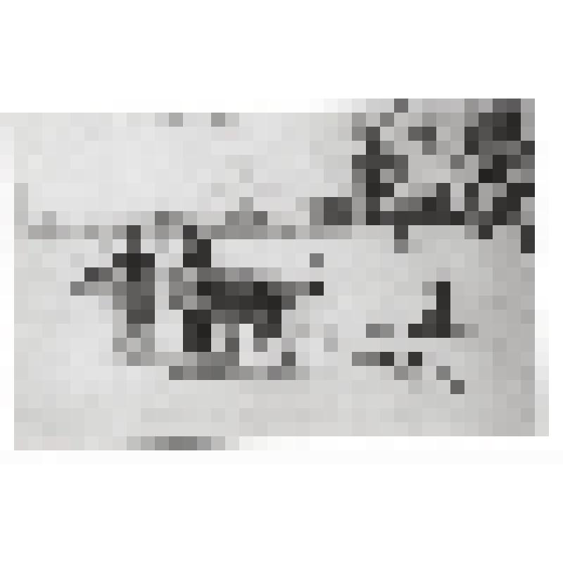 Открытка. Оленные нарты, которые туземцы используют зимой . Из комплекта: Коллекция японских открыток. /Карафутское почтовое управление