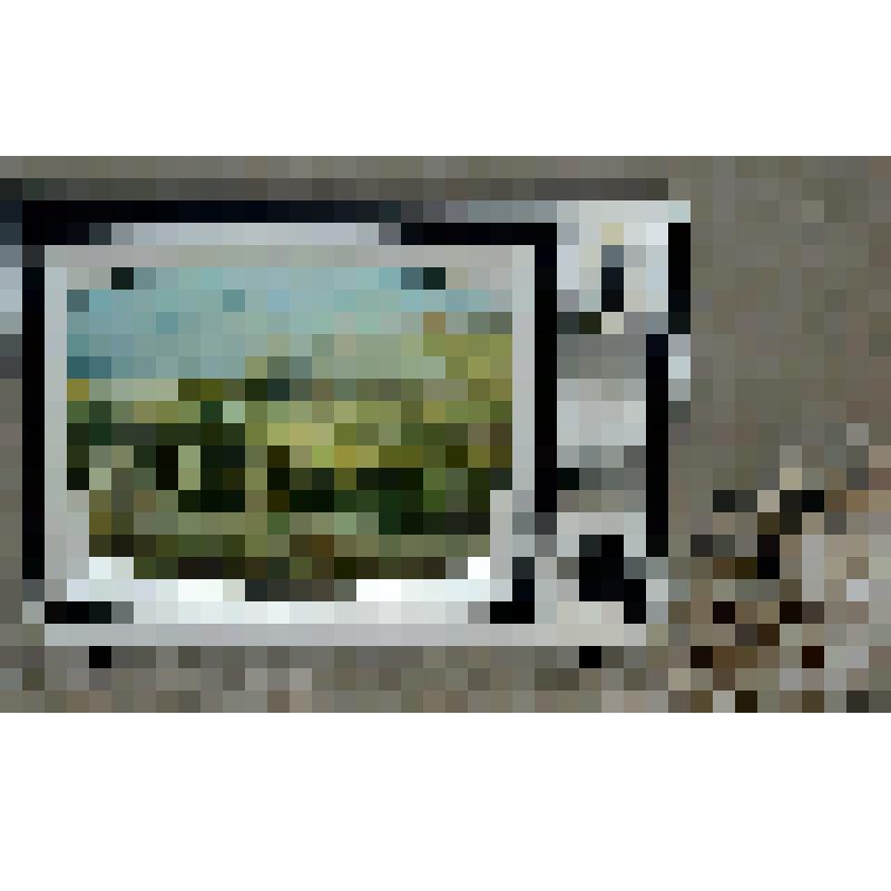 Громкоговоритель сувенирный "Изумруд"