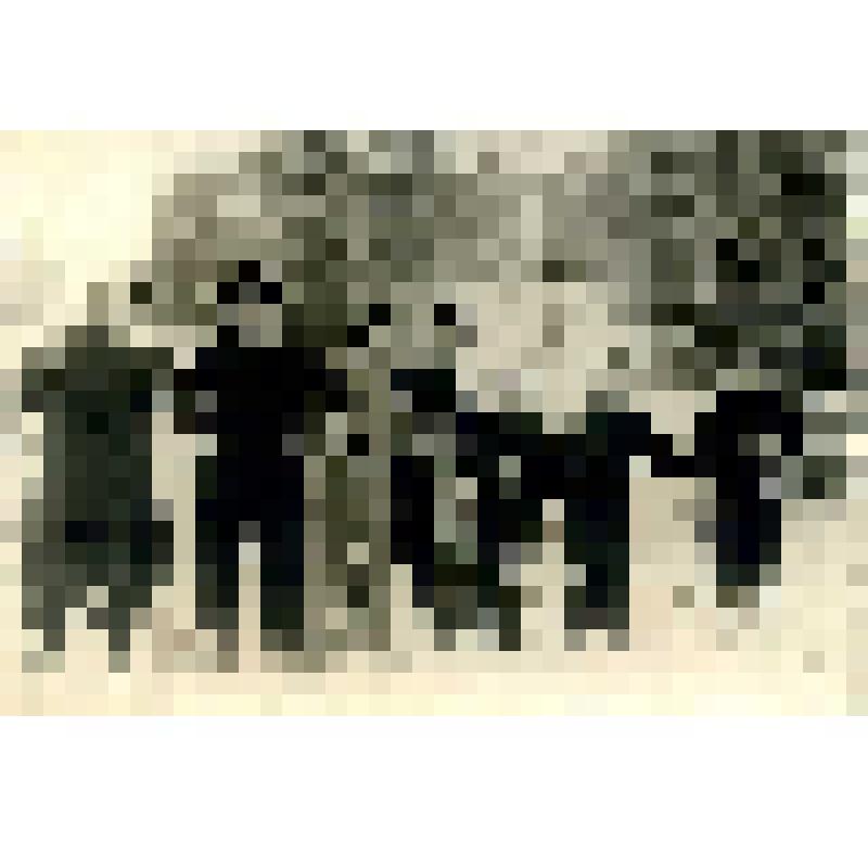 Фотография. Групповой портрет лыжников