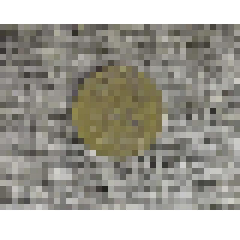 Монета. Три копейки