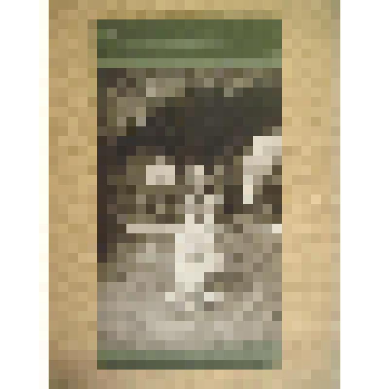 Дети архитектора Л. Н. Кекушева