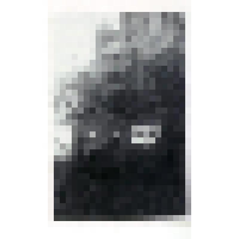 Фотокопия. Воин Егоров Н.В. в Австрии, 1945 г