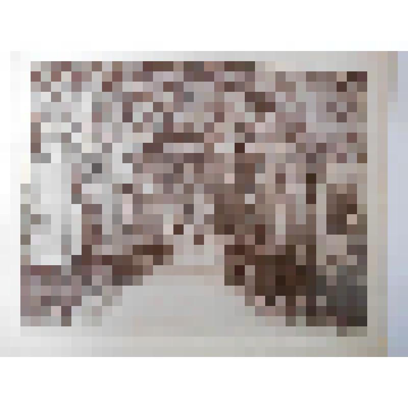Церковь Мадонна-дель-Сассо. Перв. пол. XIX в., 1902 г. капитальн. рест. Швейцария, г. Локарно. Церковь Мадонна-дель-Сассо. Перв. пол. XIX в., 1902 г. капит. рест. Интерьер. Изд. Алинари