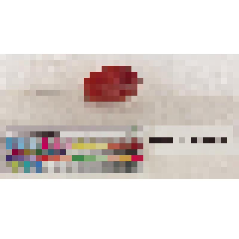 Печать овальная, выпуклая на лицевой стороне