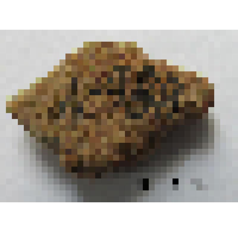 Фрагмент стенки керамического сосуда