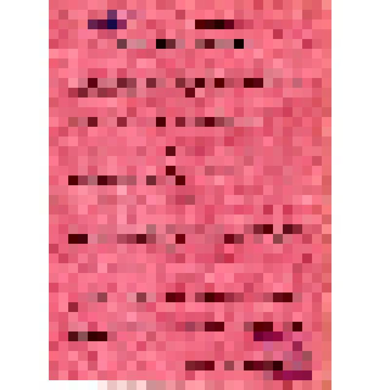 Борьба с голодом