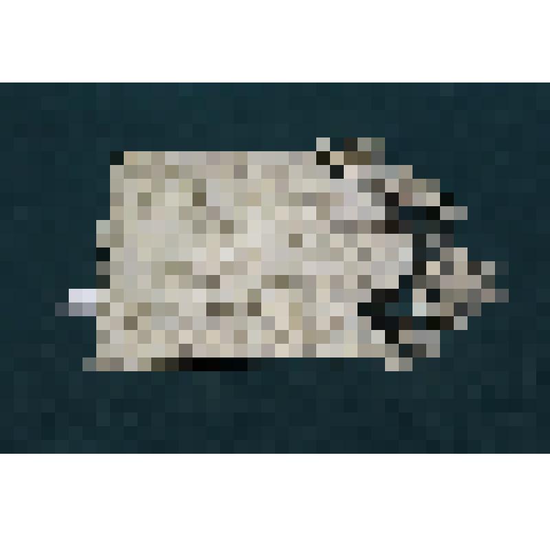 Сумочка, вязаная крючком