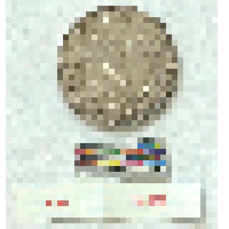 СССР. Медаль. "За успехи в учёбе, труде и за примерное поведение"; Киргизской ССР