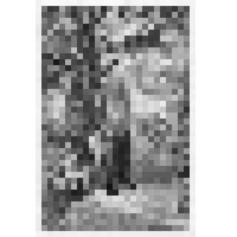 Ленин в Горках. По рис. А.Ермолаева