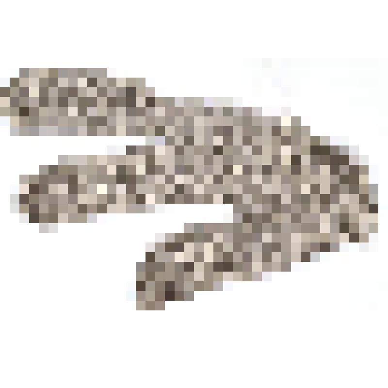 Фрагмент перчатки кольчуги