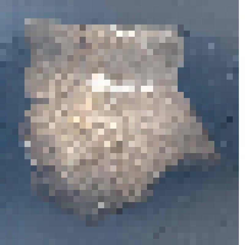 Сосуд (фрагмент)