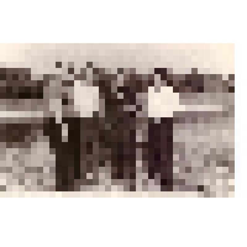 Групповая фотография с Мочаловым Н.А