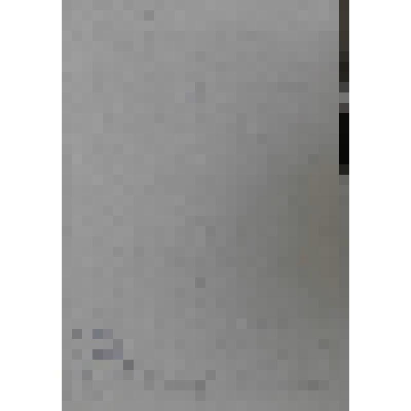 Портрет Теодора Хасеуса