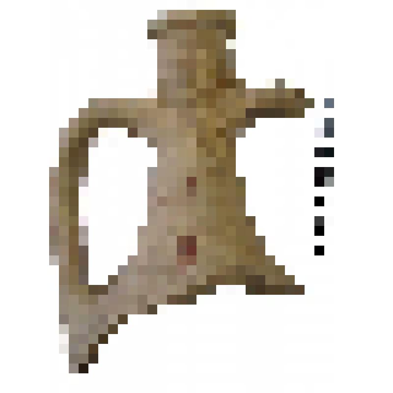 Горло с частью плеча амфоры типа D с дипинто