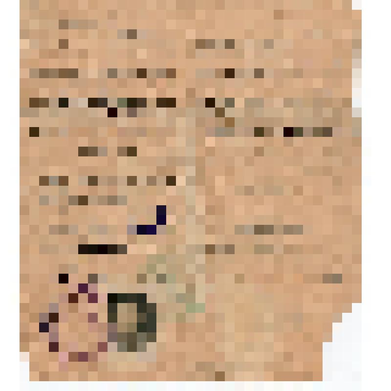 Путевка N196 о направлении Маматказина на должность зоотехника в совхоз "Сарахс"