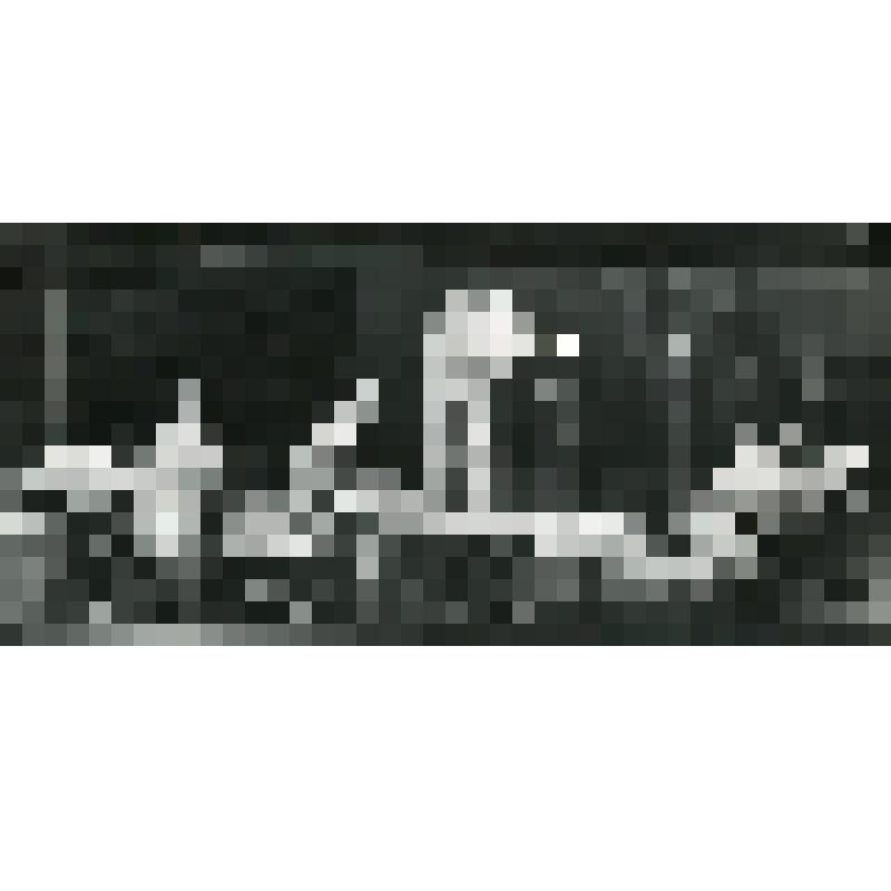 Фотография. Сцена из спектакля. Палата больницы, больные лежат на кроватях, один из них стоит на кровати. "Палата" (пост. Л. Варнаховский, худ. Ю. Арндт, М. Попков.). Москва, Малый театр