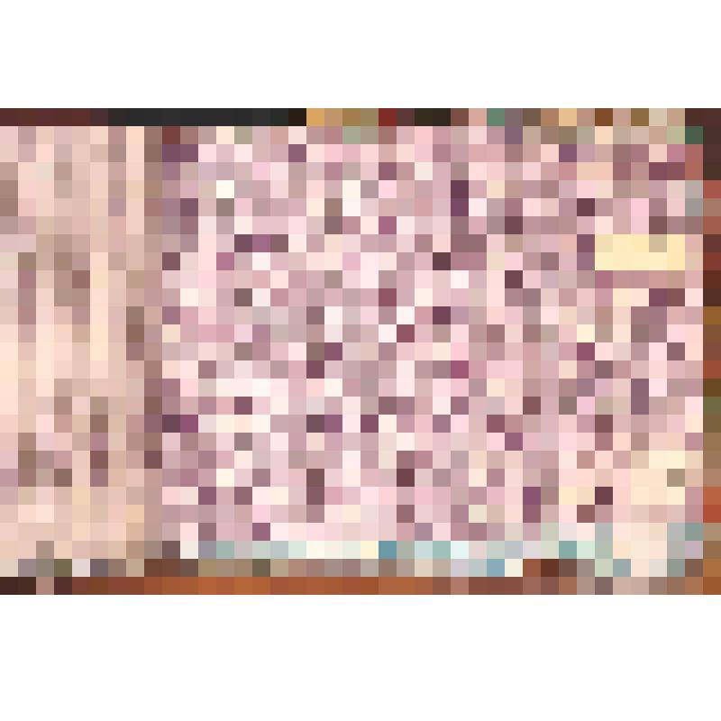 Образец ситца набивного, в альбоме