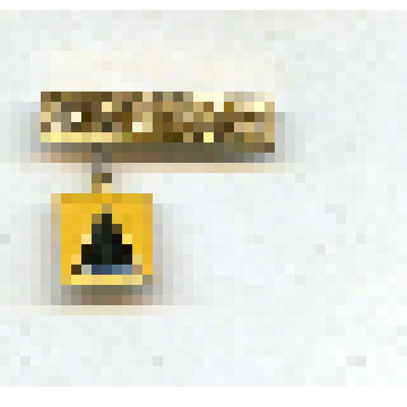 Значок "Якутия". Из коллекции значков Самсоновой К.П