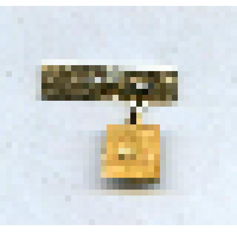 Значок "Якутия". Из коллекции значков Самсоновой К.П